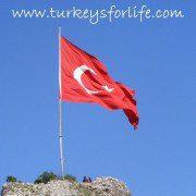 Turkey's For Life